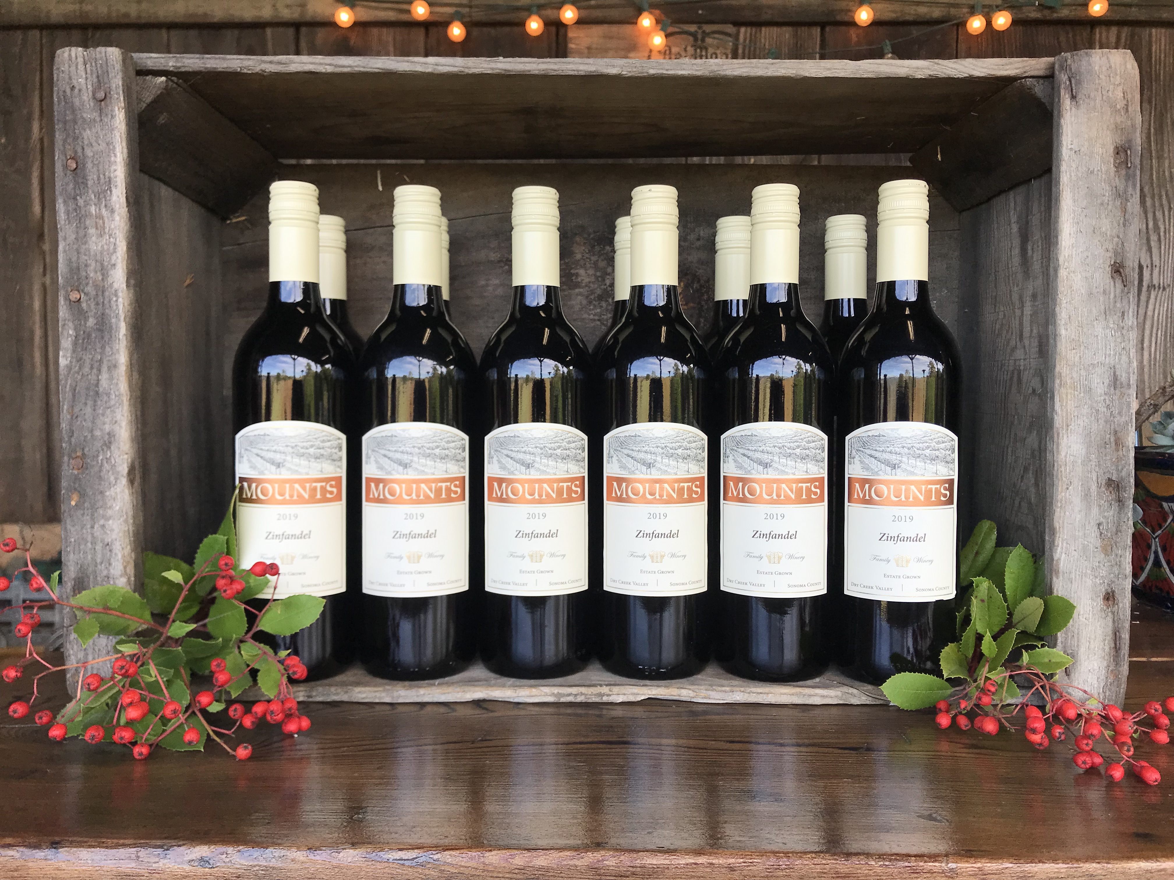 Product Image for Holiday Case Special 2019 Mounts Zinfandel